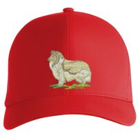 Flexfit Delta cap (180) Vignette