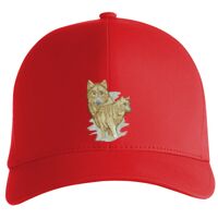 Flexfit Delta cap (180) Vignette