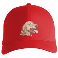 Flexfit Delta cap (180) Vignette