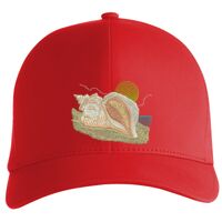 Flexfit Delta cap (180) Vignette