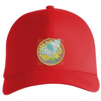 Flexfit Delta cap (180) Vignette