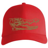 Flexfit Delta cap (180) Vignette