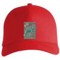 Flexfit Delta cap (180) Vignette