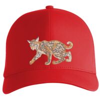 Flexfit Delta cap (180) Vignette