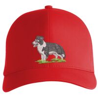 Flexfit Delta cap (180) Vignette