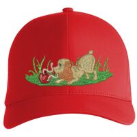 Flexfit Delta cap (180) Vignette