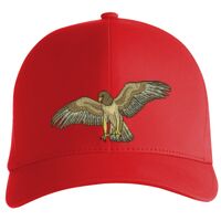 Flexfit Delta cap (180) Vignette