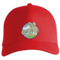 Flexfit Delta cap (180) Vignette