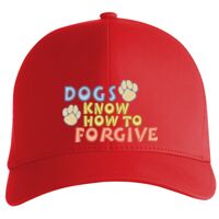 Flexfit Delta cap (180) Vignette