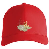 Flexfit Delta cap (180) Vignette
