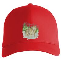 Flexfit Delta cap (180) Vignette