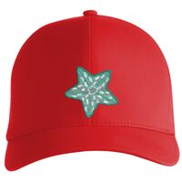 Flexfit Delta cap (180) Vignette