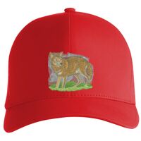 Flexfit Delta cap (180) Vignette