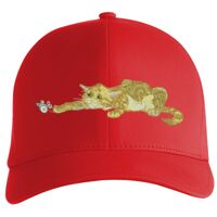 Flexfit Delta cap (180) Vignette