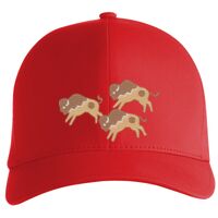 Flexfit Delta cap (180) Vignette