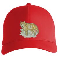 Flexfit Delta cap (180) Vignette