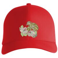 Flexfit Delta cap (180) Vignette