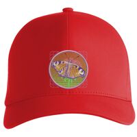 Flexfit Delta cap (180) Vignette