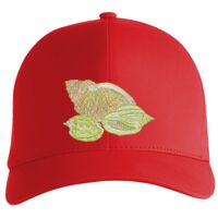 Flexfit Delta cap (180) Vignette