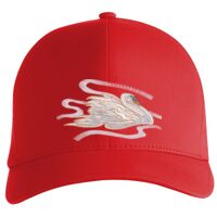 Flexfit Delta cap (180) Vignette