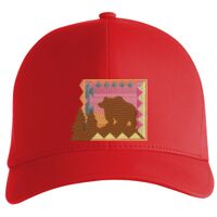 Flexfit Delta cap (180) Vignette