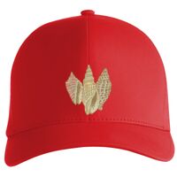Flexfit Delta cap (180) Vignette