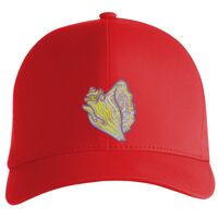 Flexfit Delta cap (180) Vignette
