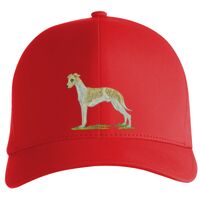 Flexfit Delta cap (180) Vignette