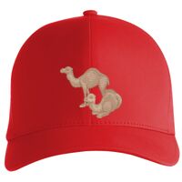 Flexfit Delta cap (180) Vignette