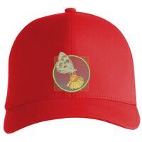Flexfit Delta cap (180) Vignette