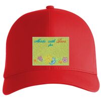 Flexfit Delta cap (180) Vignette