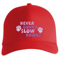 Flexfit Delta cap (180) Vignette