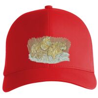 Flexfit Delta cap (180) Vignette