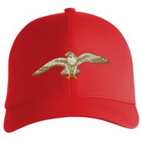 Flexfit Delta cap (180) Vignette