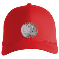 Flexfit Delta cap (180) Vignette