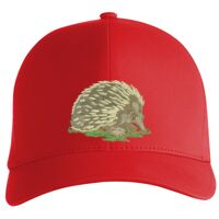 Flexfit Delta cap (180) Vignette