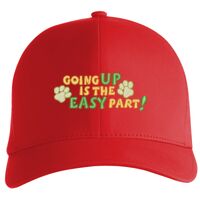 Flexfit Delta cap (180) Vignette