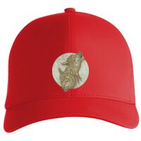 Flexfit Delta cap (180) Vignette