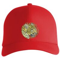 Flexfit Delta cap (180) Vignette