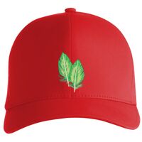 Flexfit Delta cap (180) Vignette