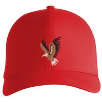 Flexfit Delta cap (180) Vignette