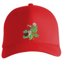 Flexfit Delta cap (180) Vignette