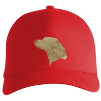 Flexfit Delta cap (180) Vignette