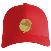 Flexfit Delta cap (180) Vignette