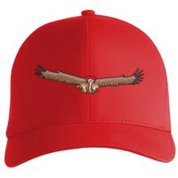 Flexfit Delta cap (180) Vignette