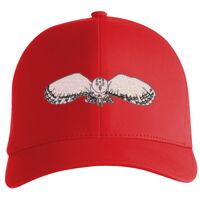 Flexfit Delta cap (180) Vignette