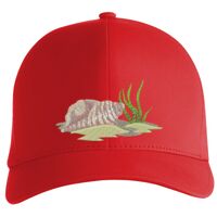 Flexfit Delta cap (180) Vignette