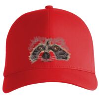 Flexfit Delta cap (180) Vignette