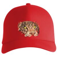 Flexfit Delta cap (180) Vignette