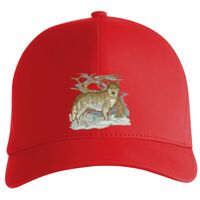 Flexfit Delta cap (180) Vignette